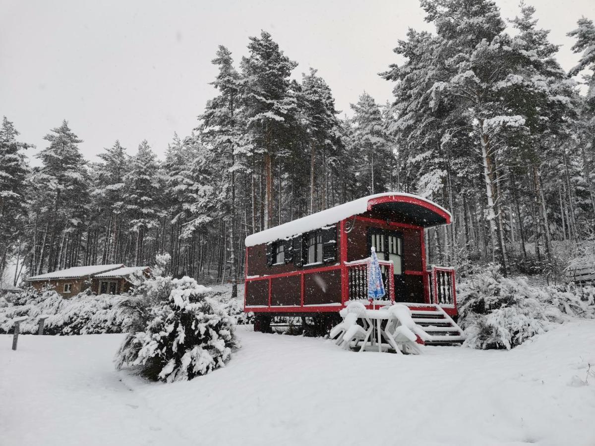 Les Chalets Du Haut-Forez Usson-en-Forez Eksteriør bilde