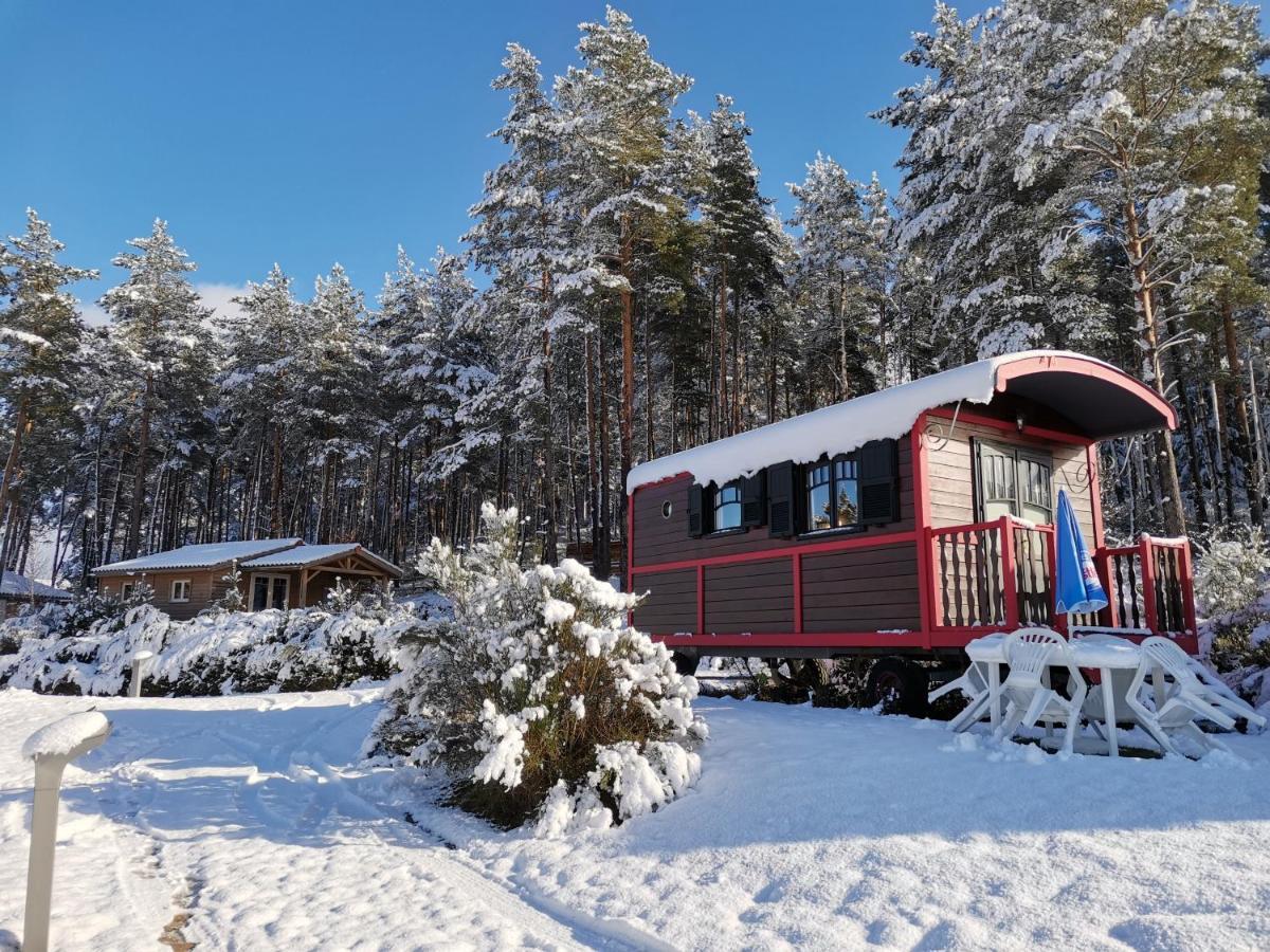 Les Chalets Du Haut-Forez Usson-en-Forez Eksteriør bilde