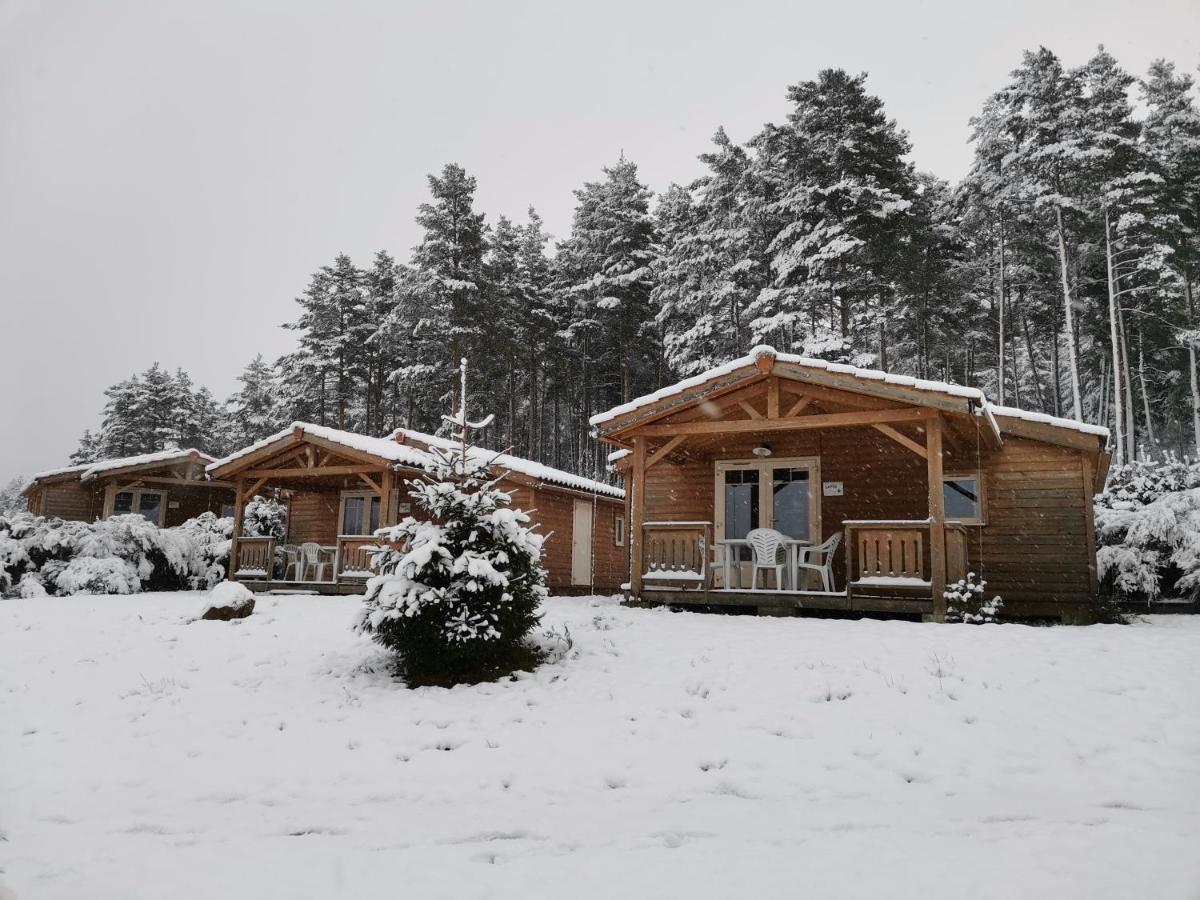 Les Chalets Du Haut-Forez Usson-en-Forez Eksteriør bilde