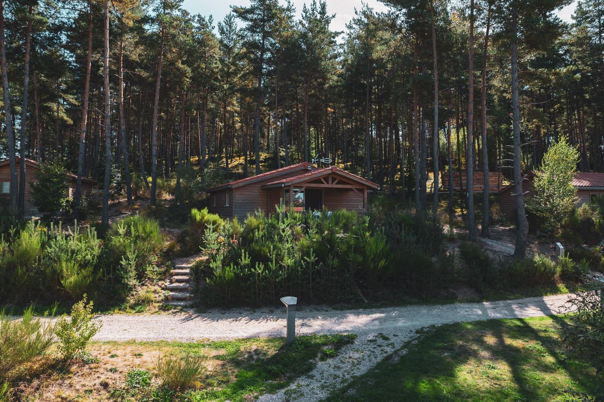 Les Chalets Du Haut-Forez Usson-en-Forez Eksteriør bilde